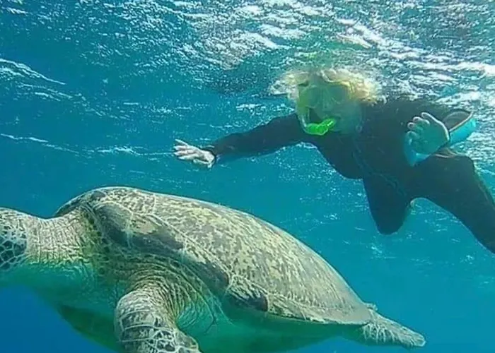 Diving With Turtles Úszó hotel *